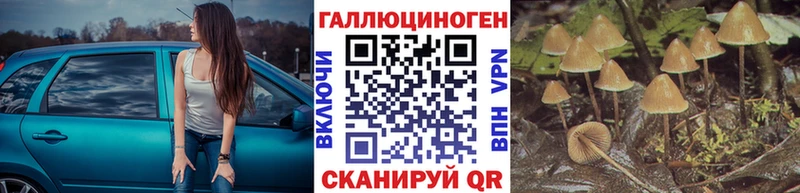 Купить  Ростов  Галлюциногенные грибы мицелий 